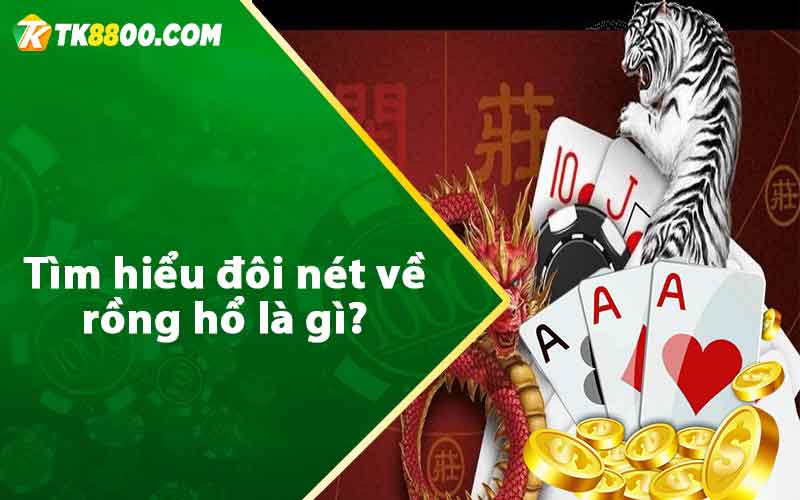 Tìm hiểu đôi nét về rồng hổ là gì?