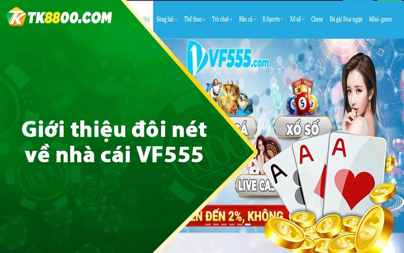 Giới thiệu đôi nét về nhà cái VF555 